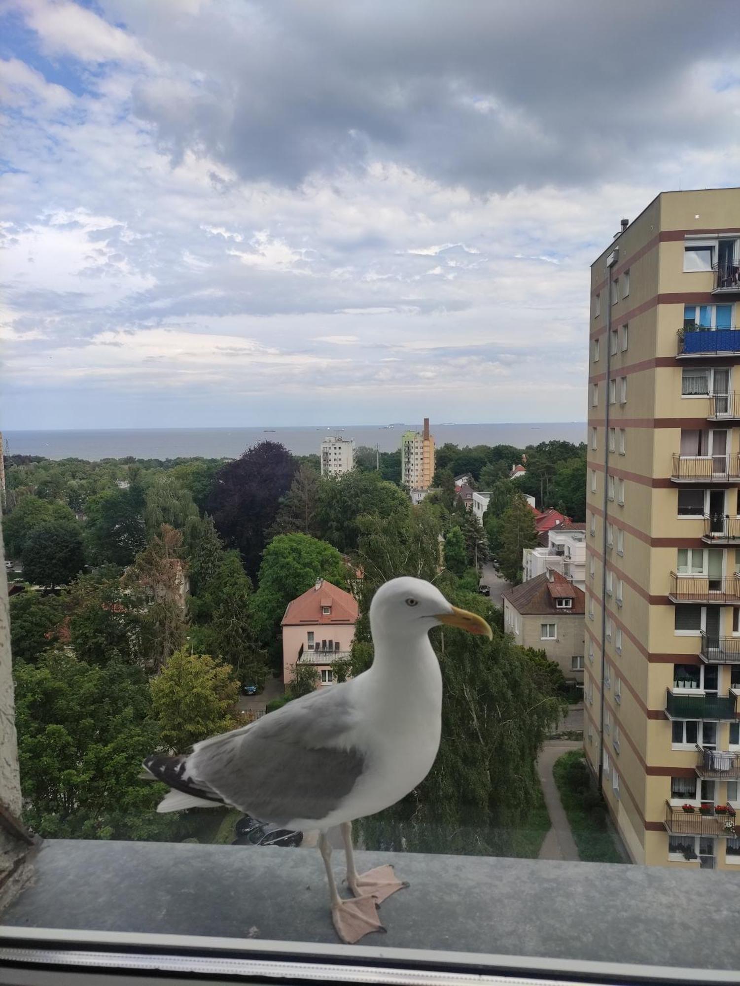 Apartament Widokowo Sopot Exterior foto